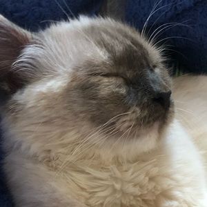 Meet your Posher, Ruby